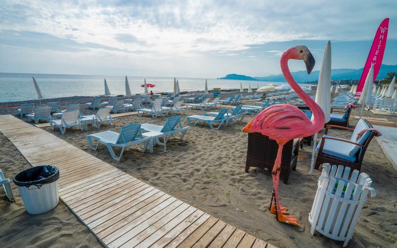 Campus Hill Hotel Alanya Eksteriør billede